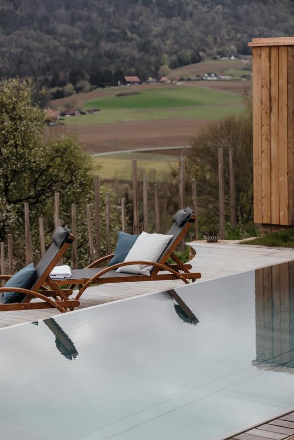 Am Wildbachberg - Luxus Ferienhaeuser Mit Infinitypool, Privatsauna Und Weinkeller Deutschlandsbergi járás Kültér fotó