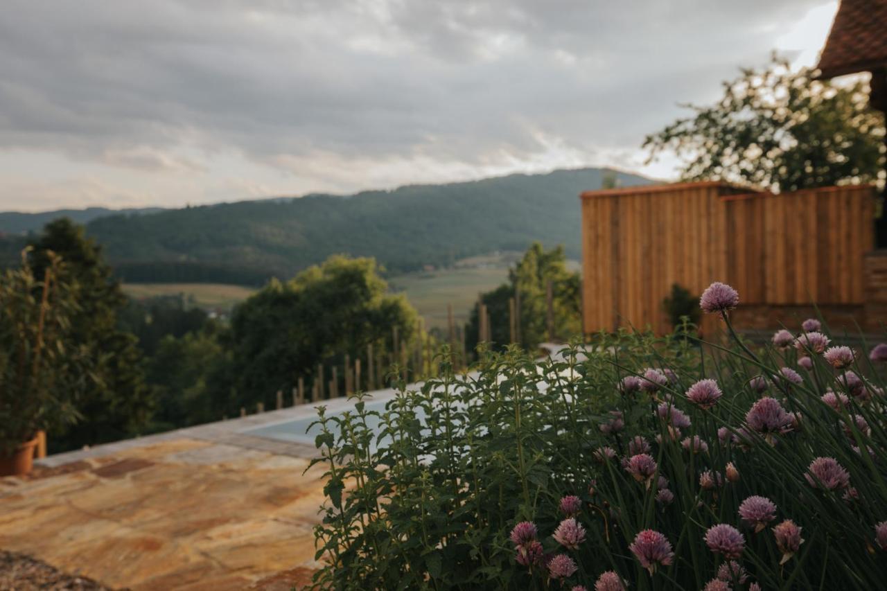 Am Wildbachberg - Luxus Ferienhaeuser Mit Infinitypool, Privatsauna Und Weinkeller Deutschlandsbergi járás Kültér fotó